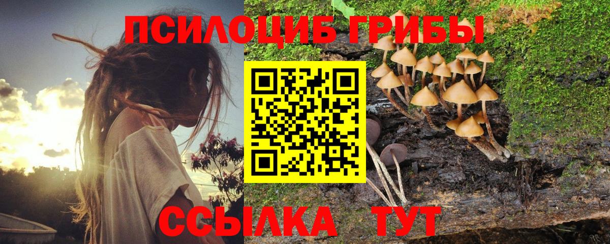 Южно-Сахалинск  Галлюциногенные грибы MAGIC MUSHROOMS  Вход с VPN 