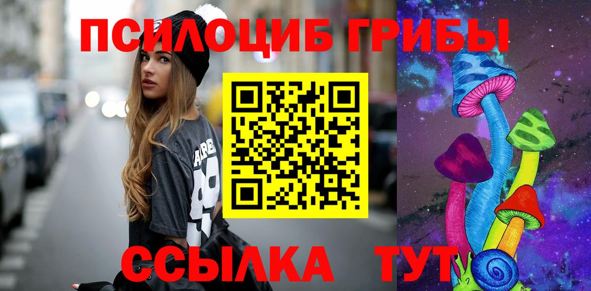 Псилоцибиновые грибы Psilocybe Южно-Сахалинск